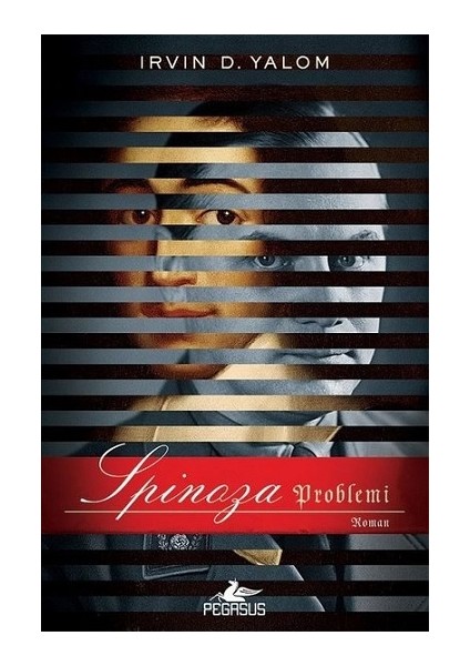 Spinoza Problemi