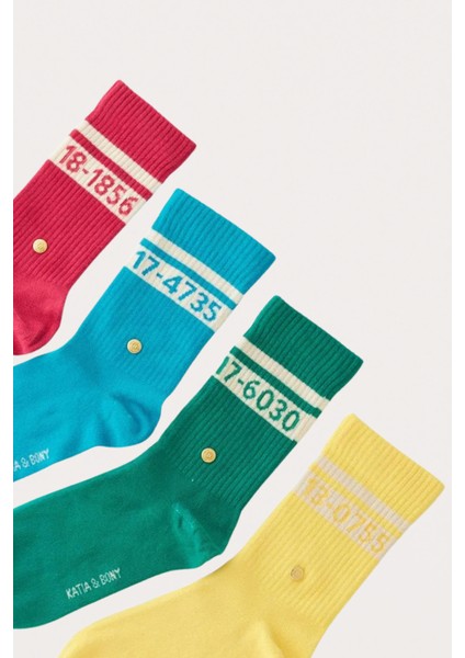 Unisex Pantone Renkli 4'lü Kutulu Soket Çorap