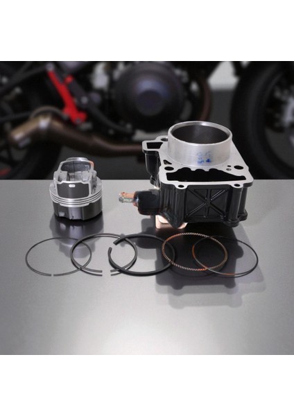 Bajaj Pulsar NS200 Silindir Komple Seti Orijinal