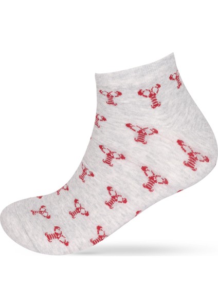 Erkek Hayvan Desenli 3'lü Patik Çorap