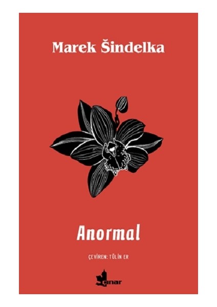 Anormal