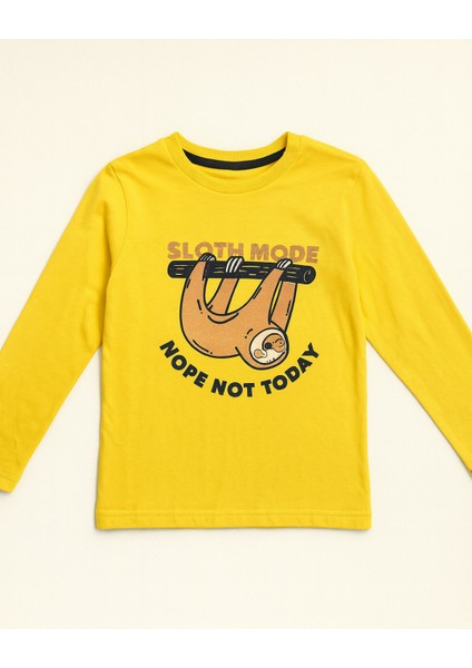 Erkek Çocuk Mevsimlik Pamuklu Sweat fiyatları