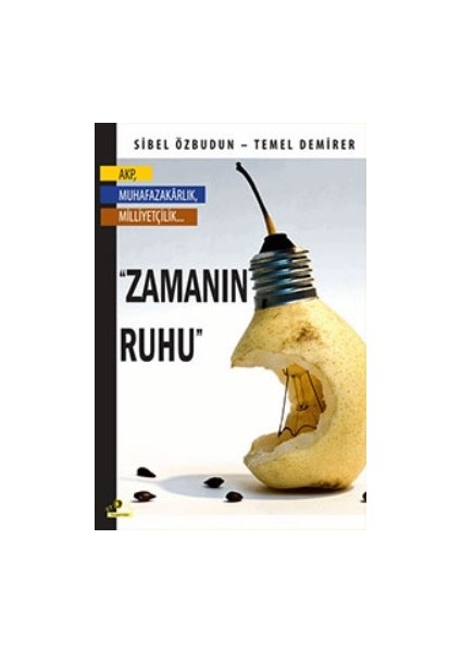Zamanın Ruhu