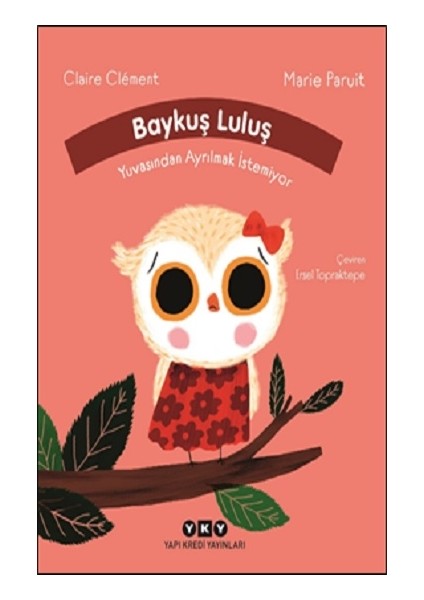 Baykuş Luluş Yuvasından Ayrılmak Istemiyor