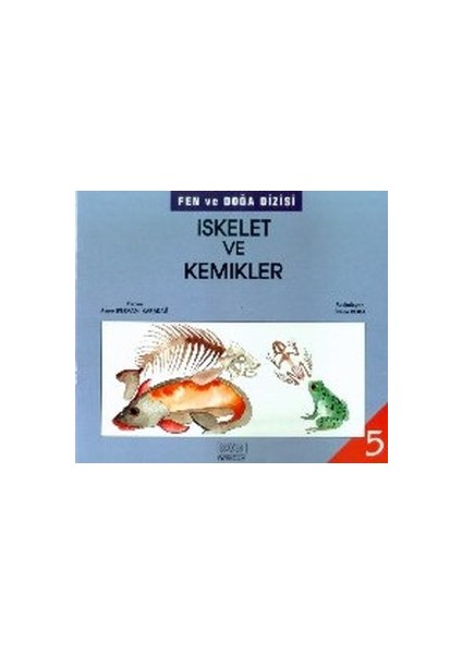 Iskelet ve Kemikler