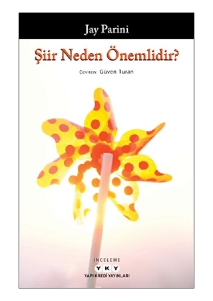 Şiir Neden Önemlidir?