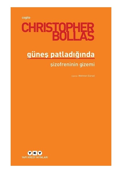 Güneşi Patladığında - Şizofreninin Gizemi