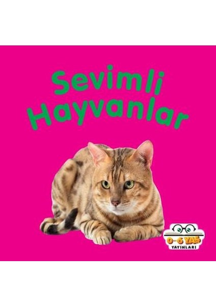 Sevimli Hayvanlar - Mini Karton Kitaplar