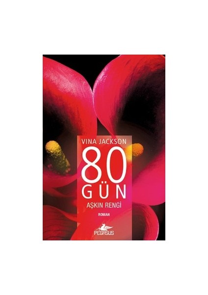 80 Gün - Aşkın Rengi