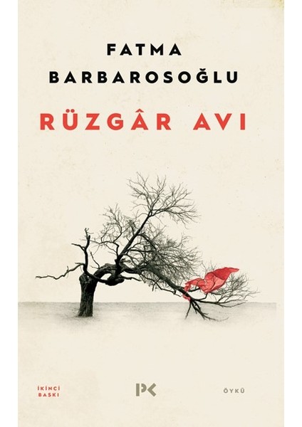 Rüzgar Avı