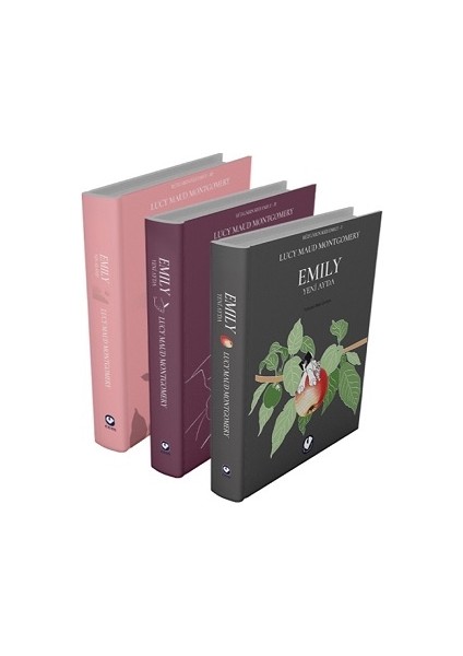 Rüzgarın Kızı Emily Serisi (3 Kitap)