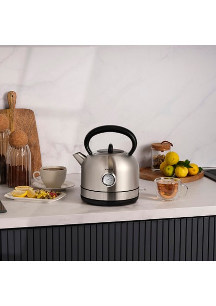 Retro 2202 Su Isıtıcısı Inox 2200W