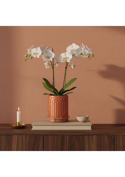 Norla Dekoratif Vazo - Bakır / Ahşap Tabanlı