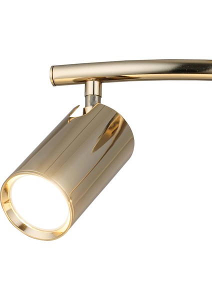 Lıpale 2'li Altın Plafonyer fırsatları