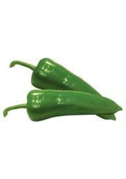 50 Adet Tohum Tatlı Pat Yağlık Közlemelik Biber Tohumu