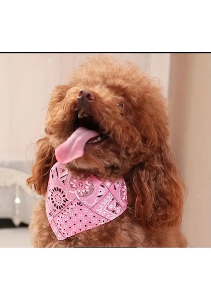 Üçgen Şeklinde, Ayarlanabilir Kedi ve Köpek Boyun Bandanası Pembe Renk fırsatları