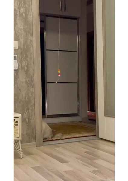 Çıngıraklı Kedi Oyuncağı Yapışkanlı Kedi Oyun Oltası Renkli Ponponlu Hacıyatmaz Oyuncak Zıplayan Top