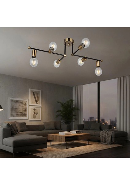 Rena Eskitme Siyah Plafonyer Altılı fiyatları