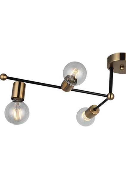 Rena Eskitme Siyah Plafonyer Altılı modelleri