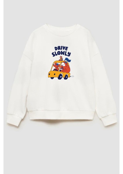 Erkek Çocuk Baskılı 3 Iplik Kumaş Pamuklu Sweatshirt