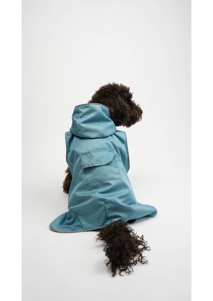 Köpek Büyük Irk Yağmurluk Daily fiyatları