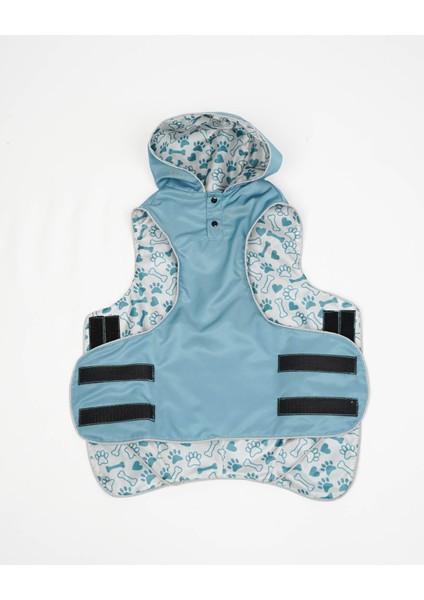 Köpek Büyük Irk Yağmurluk Daily modelleri