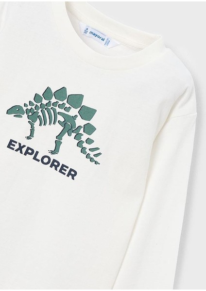 Erkek Çocuk Eşofman Takımı 4806 4/10 Yaş modelleri