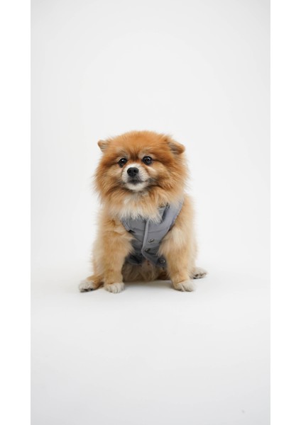 Kedi Köpek Terra Yelek