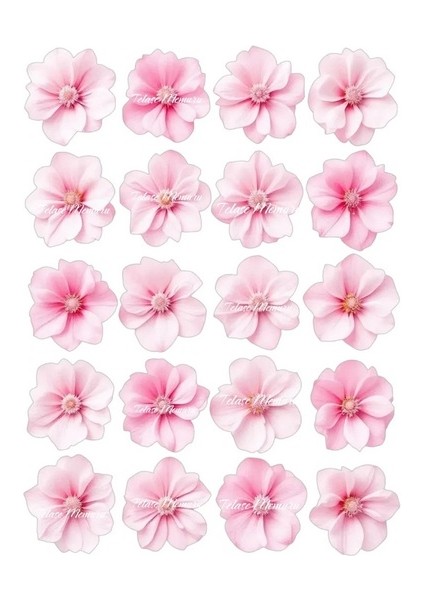 Yenilebilir Açık Pembe Çiçek Pasta Süsü - Yenilebilir Pasta Süsü - Çiçek Baskısı - Model 2