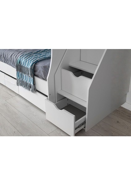 Tema Ranza modelleri