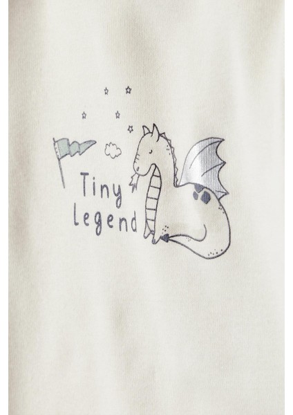 Erkek Bebek Yeşil 3lü Set modelleri