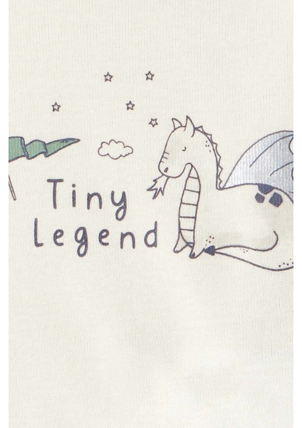 Erkek Bebek Yeşil 3lü Set fırsatları