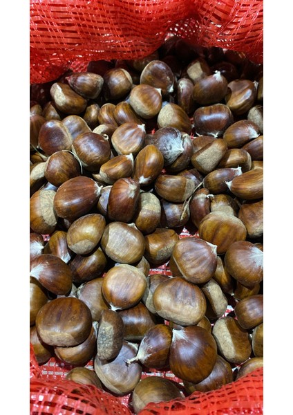 Kuzu Kestane 1 kg fiyatları