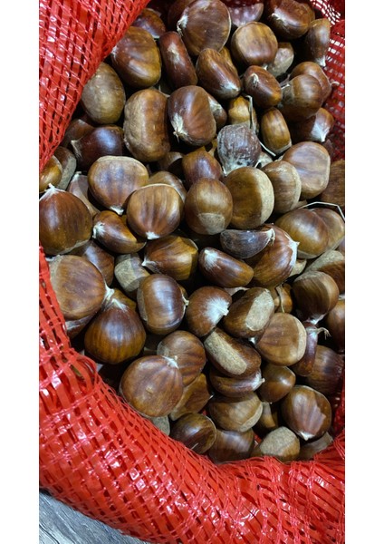 Kuzu Kestane 1 kg modelleri