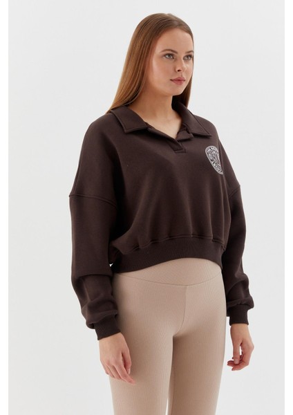 Polo Yaka Şardonlu Sweatshirt Kahve fırsatları