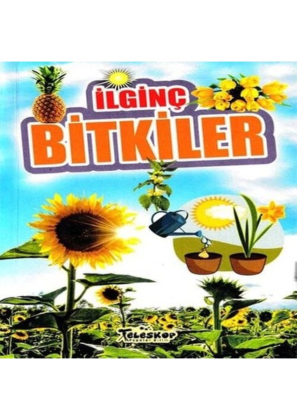 Ilginç Ler - Ilginç Bilgiler Serisi