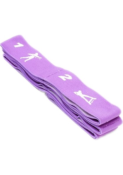 Sansha Numaralı Esnetme ve Direnç Bandı Mor Senior fiyatları