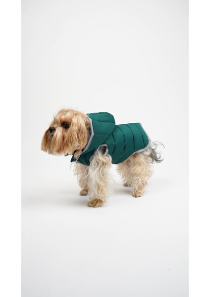 Kedi Köpek Terra Yelek