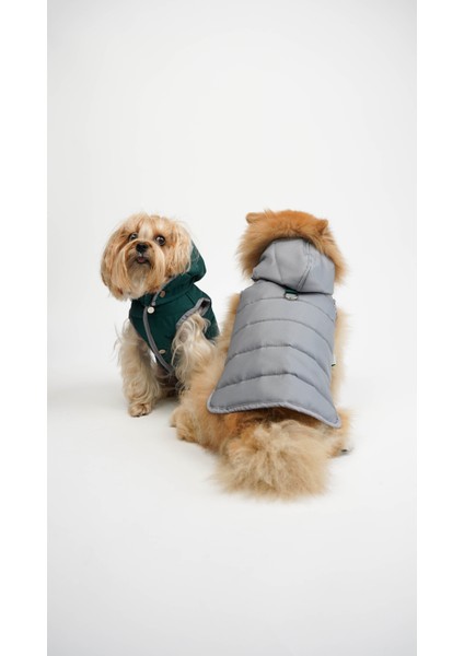 Kedi Köpek Terra Yelek modelleri