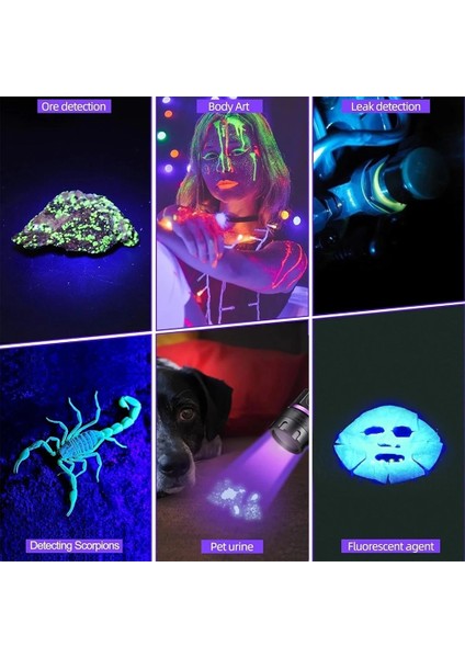 Profesyonel 90WATT Uv 365NM Değerli Taş Tespit Powerbank & LED Fener