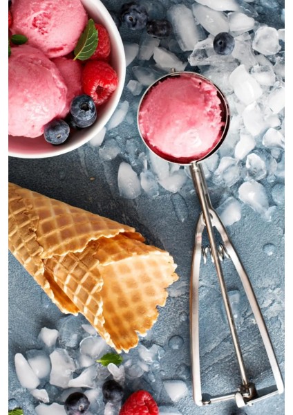 Çelik Dondurma Kaşığı fırsatları