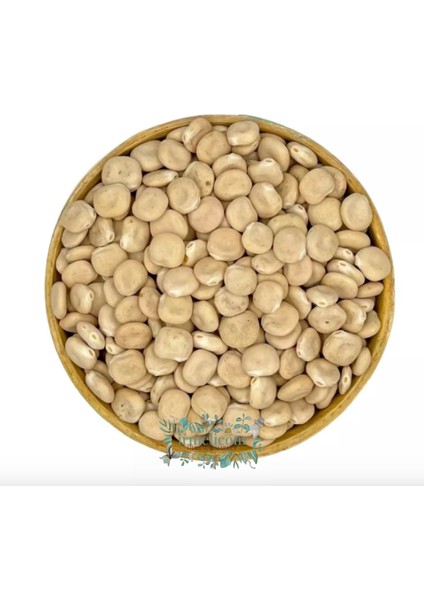 Acıbakla - Termiye - Yahudi Baklası Irmelicom fiyatları