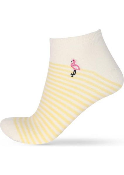 4'lü Paket Kadın Flamingo Desenli Step Çorap fırsatları