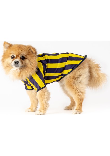 Köpek Kedi Taraftar Forma fiyatları