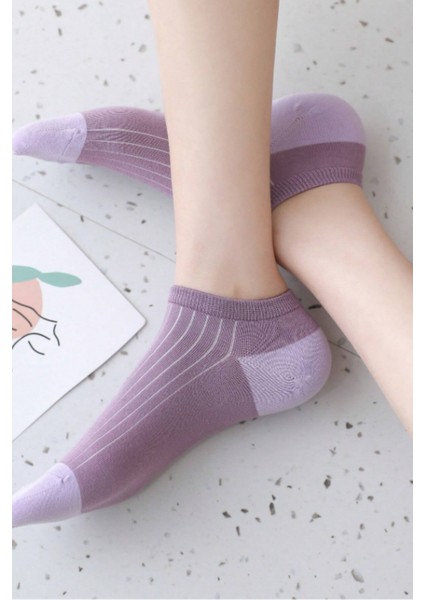 5'li Paket Kadın Step Çorap Lila