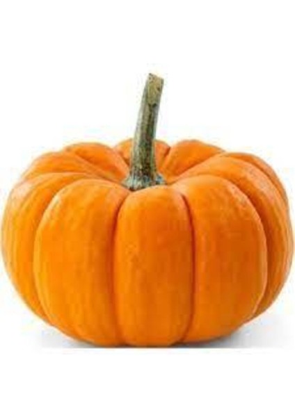 5 Adet Yerli Iri Sarı Bal Kabağı Tohumu