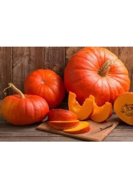 5 Adet Yerli Iri Sarı Bal Kabağı Tohumu fiyatları