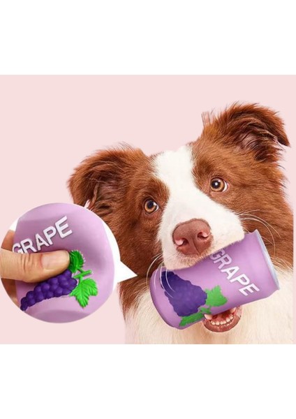 Meyve Şişesi Şekilli Squeaky Köpek Oyuncakları – Ikili Paket fırsatları