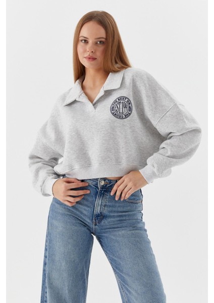 Polo Yaka Şardonlu Sweatshirt Grı Melange