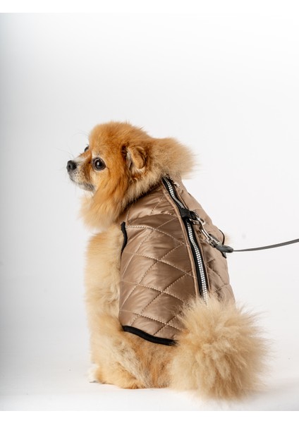 Kedi Köpek Kapitone Yelek